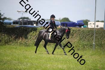 HOQ-1399