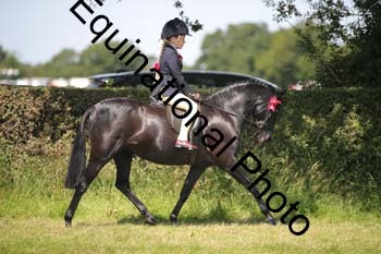 HOQ-1405