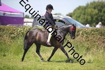 HOQ-1418