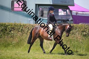 HOQ-1421