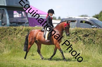 HOQ-1431