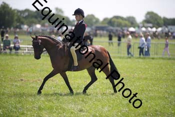 HOQ-1440