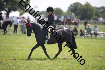 HOQ-1444