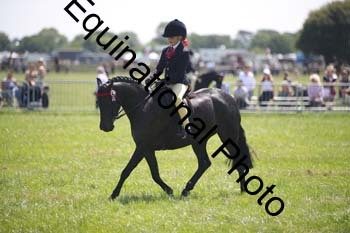 HOQ-1446