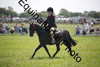 HOQ-1449