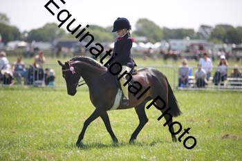 HOQ-1452