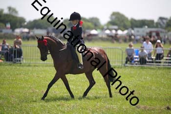 HOQ-1457
