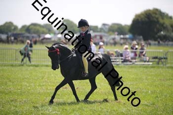 HOQ-1460