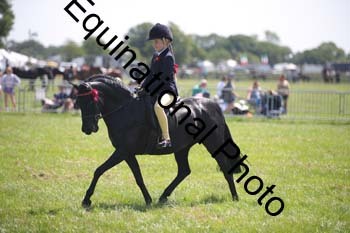 HOQ-1461