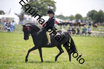 HOQ-1462