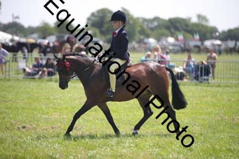 HOQ-1465