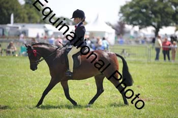 HOQ-1466