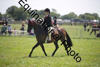 HOQ-1468