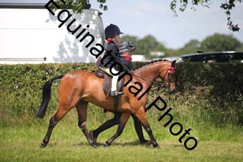 HOQ-1487