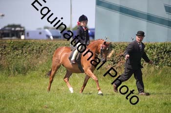 HOQ-1498