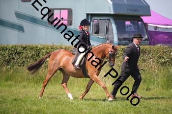 HOQ-1499