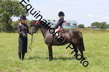 HOQ-1579