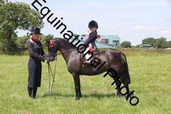 HOQ-1581