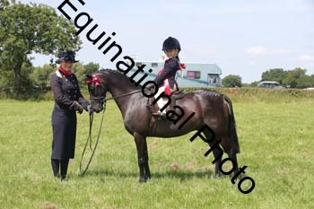 HOQ-1582