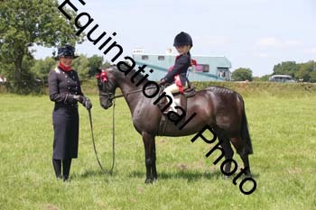 HOQ-1586