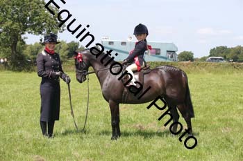 HOQ-1587