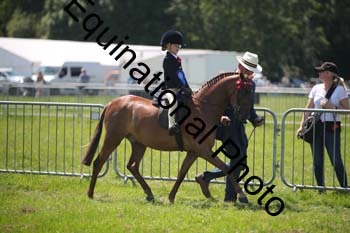 HOQ-1599