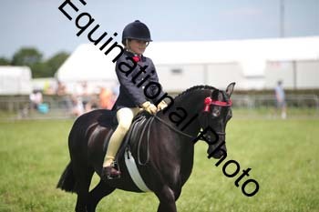 HOQ-1636