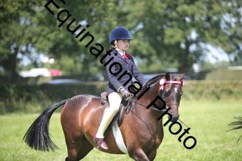 HOQ-1638