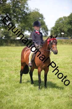 HOQ-1654