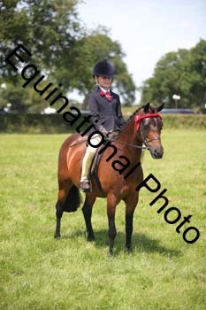 HOQ-1655