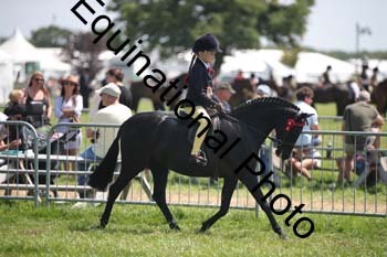 HOQ-1697