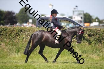 HOQ-1714