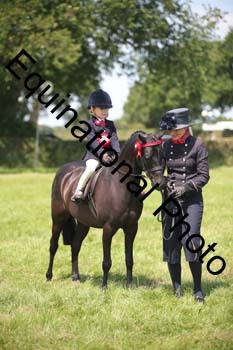 HOQ-1719
