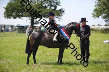 HOQ-1725