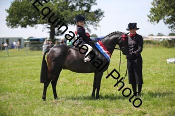 HOQ-1726