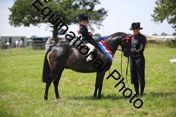 HOQ-1727