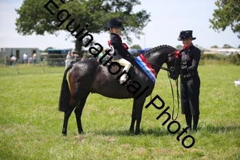 HOQ-1729
