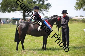 HOQ-1733