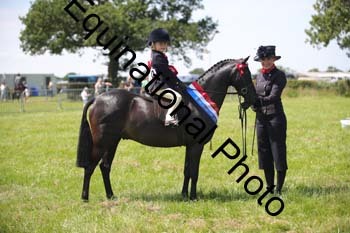 HOQ-1734