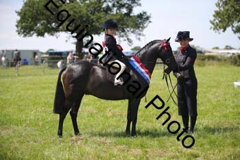 HOQ-1735