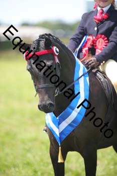 HOQ-1743