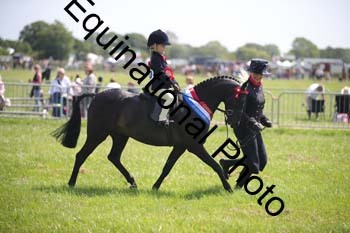 HOQ-1744