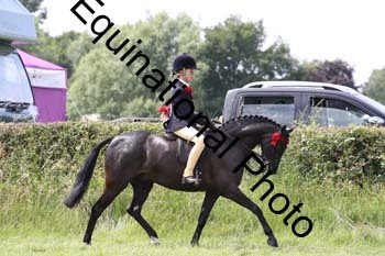 HOQ-1768