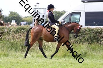 HOQ-1778