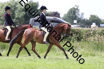 HOQ-1782