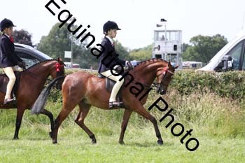 HOQ-1783