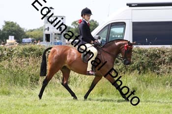 HOQ-1786