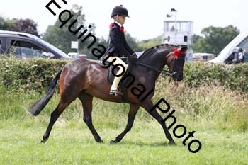 HOQ-1793