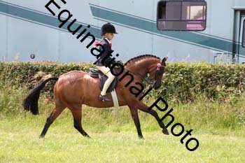 HOQ-1815