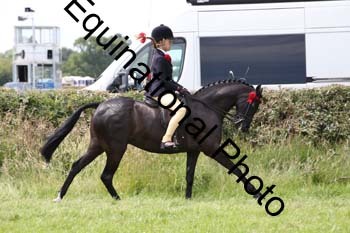 HOQ-1823